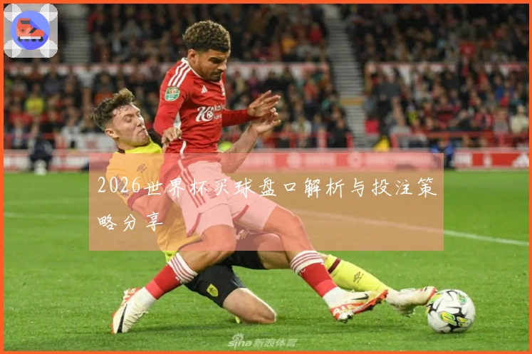 2026世界杯买球盘口解析与投注策略分享
