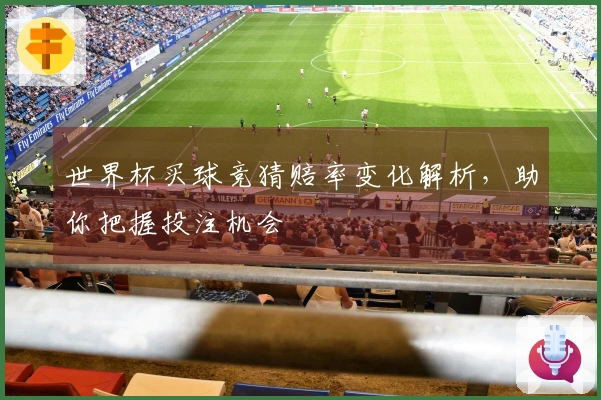 世界杯买球竞猜赔率变化解析，助你把握投注机会