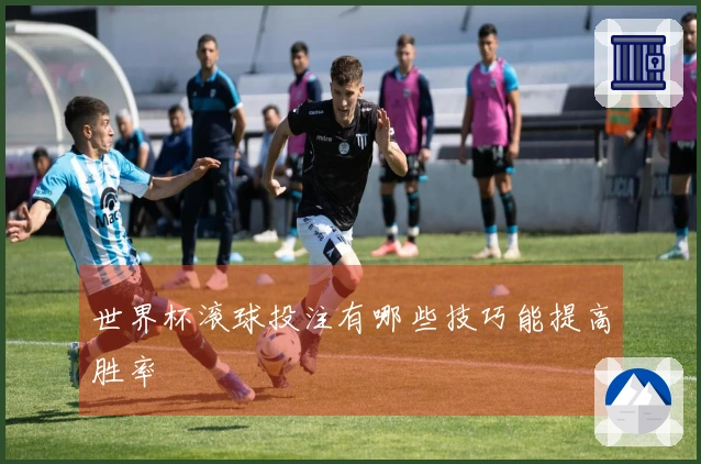 世界杯滚球投注有哪些技巧能提高胜率