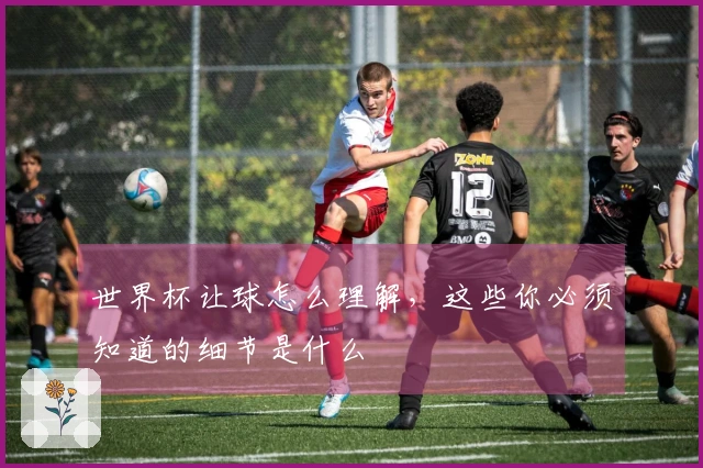 世界杯让球怎么理解,这些你必须知道的细节是什么