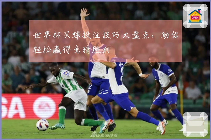 世界杯买球投注技巧大盘点，助你轻松赢得竞猜胜利