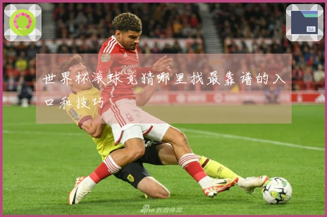 世界杯滚球竞猜哪里找最靠谱的入口和技巧