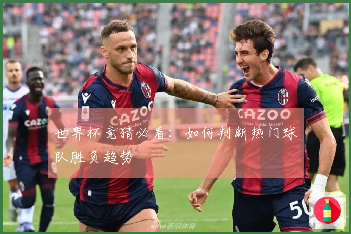 世界杯竞猜必看：如何判断热门球队胜负趋势