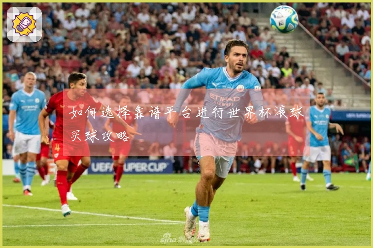 如何选择靠谱平台进行世界杯滚球买球攻略