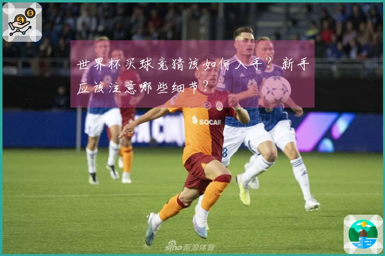 世界杯买球竞猜该如何入手？新手应该注意哪些细节？