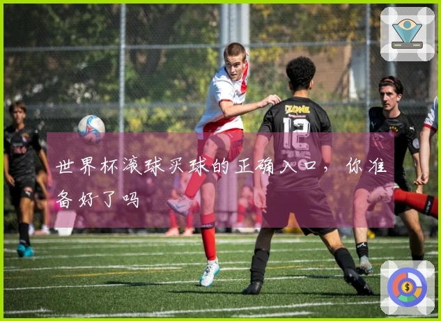 世界杯滚球买球的正确入口，你准备好了吗
