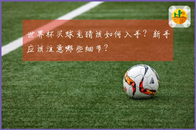 世界杯买球竞猜该如何入手？新手应该注意哪些细节？