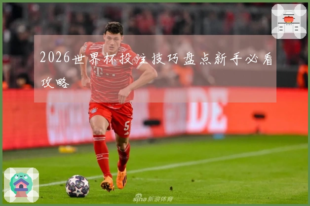 2026世界杯投注技巧盘点新手必看攻略