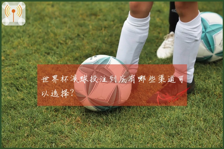 世界杯滚球投注到底有哪些渠道可以选择?