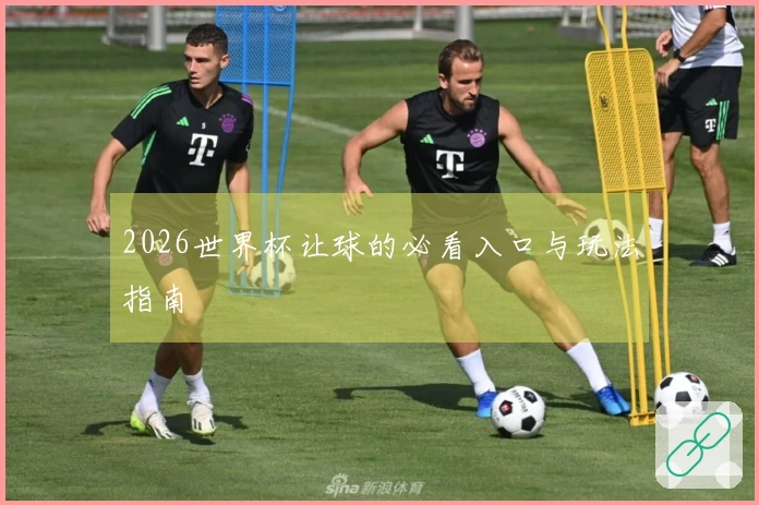 2026世界杯让球的必看入口与玩法指南