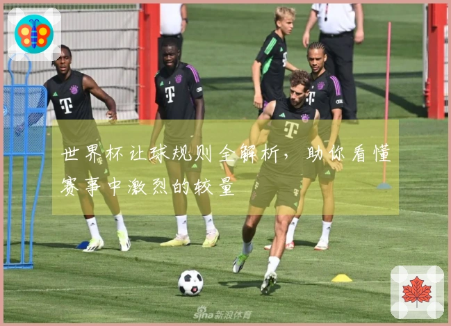 世界杯让球规则全解析，助你看懂赛事中激烈的较量