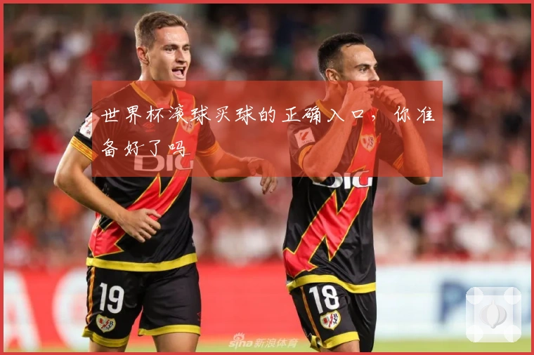 世界杯滚球买球的正确入口，你准备好了吗