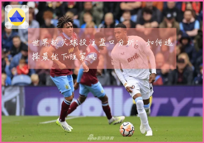 世界杯买球投注盘口分析：如何选择最优下注策略