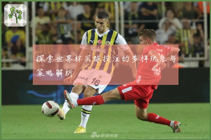 探索世界杯买球投注的多样玩法与策略解析