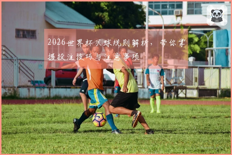 2026世界杯买球规则解析，带你掌握投注技巧与注意事项