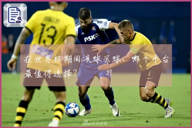 在世界杯期间滚球买球，哪个平台最值得选择？