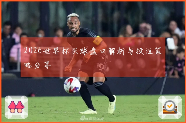2026世界杯买球盘口解析与投注策略分享